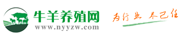 牛羊养殖网-中国牛羊养殖门户网站