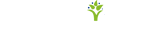 首页  上海睿芽教育科技有限公司