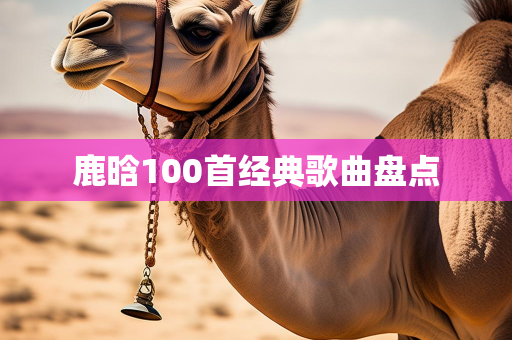 爱好歌