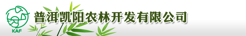 普洱凯阳农林开发有限公司－官网::.巨龙竹、甜龙竹、甜龙竹笋、观赏竹、竹苗