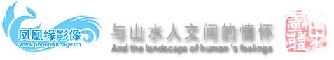 中画苑  凤凰缘影像