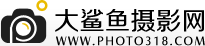 大鲨鱼摄影网--大鲨鱼摄影网