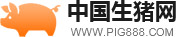 中国生猪网|养猪技术|生猪行情