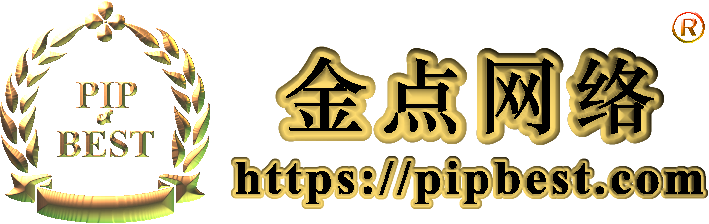 金点网络-全网资源，一网打尽