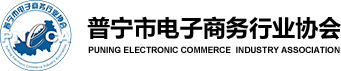 普宁电子商务行业协会-普宁电商协会-pneca.org.cn