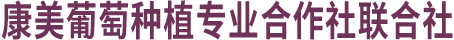 康美葡萄种植专业合作社联合社_抚顺葡萄采摘园
