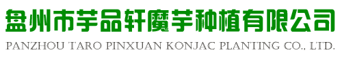 魔芋种植-魔芋种子-魔芋种植基地-(芋品轩魔芋)