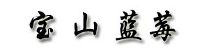 山东青岛蓝莓宝山基地｜微：a773857755｜蓝莓宝山鲜果｜百度推荐宝山蓝色基地优质服务公告2024已更-宝山蓝莓鲜果