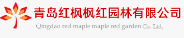 美国红枫-北美红栎-红点红枫-红橡树苗木繁育基地_青岛红枫枫红园林