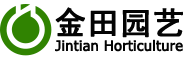 葡萄苗-车厘子苗-樱桃苗—平度市金田园艺场
