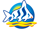 仟湖水族官网