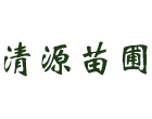 福建木荷苗-枫香苗供应「福建浙江江西广东求购木荷苗」请选清流县清源苗圃