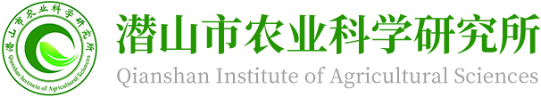 瓜蒌苗_瓜蒌种植前景_瓜蒌种植技术-潜山市农业科学研究所