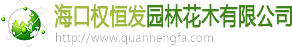 海南园林|海南苗木|海口权恒发园林花木有限公司(网站首页)