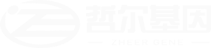 亲子鉴定|DNA亲子鉴定|胎儿亲子鉴定