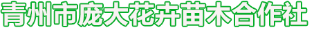 宿根花卉和时令草花以及绿化苗木基地_青州市庞大花卉苗木专业合作社