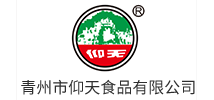 山楂片厂家_山楂制品_山楂汉堡-青州市仰天食品有限公司