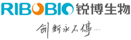 锐博生物 – 基因编辑、RNAi 、细胞研究、核酸药CDMO