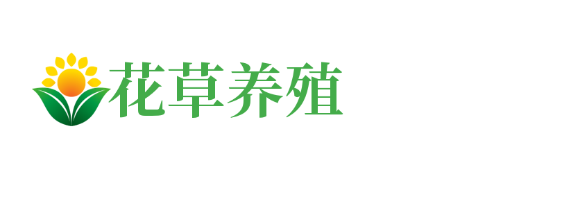 传奇私服发布网-找私服-新开传奇-传奇SF发布网