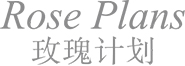 玫瑰计划