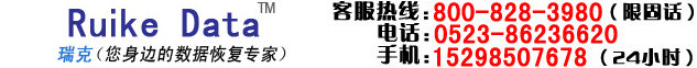 泰州数据恢复|泰州硬盘数据恢复|泰州服务器数据恢复|瑞科数据恢复网站-海陵区瑞科数据处理服务部