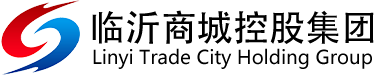 临沂商城控股集团有限公司