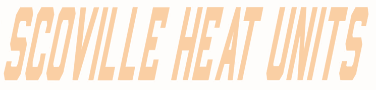 北京辣度品牌管理有限公司