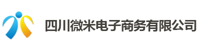 四川微米电子商务有限公司