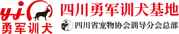 四川勇军训犬基地[勇军乐园]