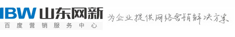 山东百度文库营销服务中心_营销型网站建设_山东网新【网新集团】