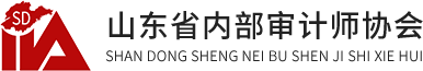 山东内部审计师协会