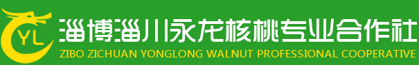 淄博淄川永龙核桃专业合作社_薄皮核桃,永龙核桃,淄博核桃