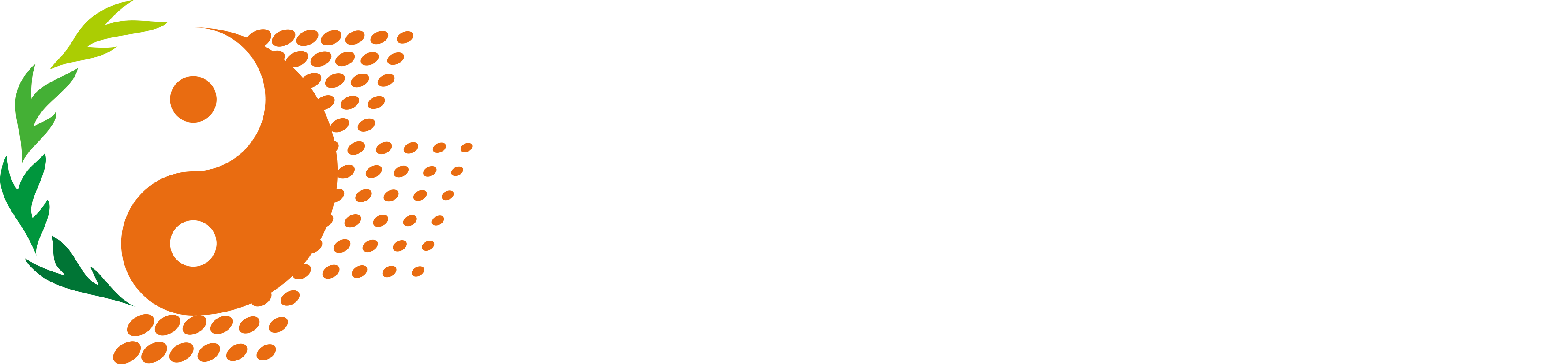 山东中医药大学附属医院·山东省中医院【官方网站】