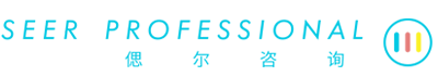 偲尔咨询-SeerProfessional & Company