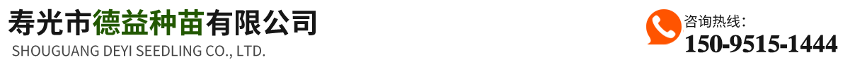 寿光市德益种苗有限公司-西红柿种苗_羊角蜜种苗_寿光种苗厂家