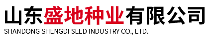 西红柿种苗_辣椒种苗-山东盛地种业有限公司