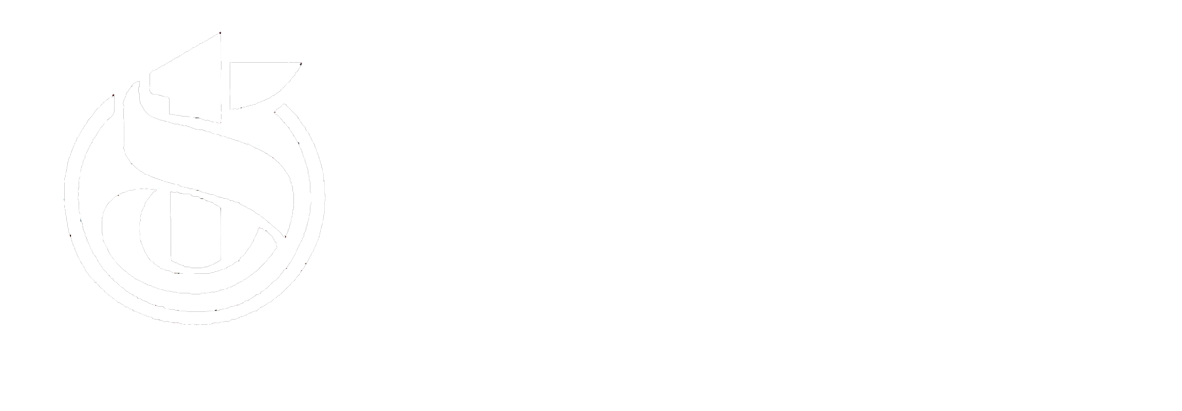 杨振华851旗舰店