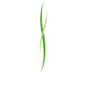山东绿意食品有限公司