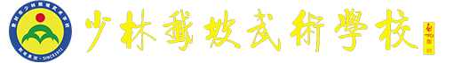 登封市少林鹅坡武术学校官网