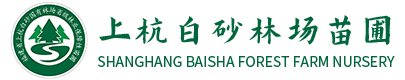上杭白砂林场苗圃