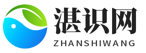 湛识网 - 分享网络知识和技巧