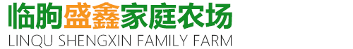 临朐盛鑫家庭农场-临朐家庭农场_临朐黄金蟠桃_临朐采摘园_临朐特产