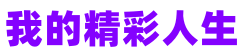 我的精彩人生