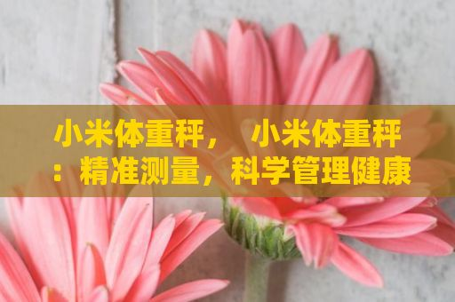 手机的 - 手机的热点事件