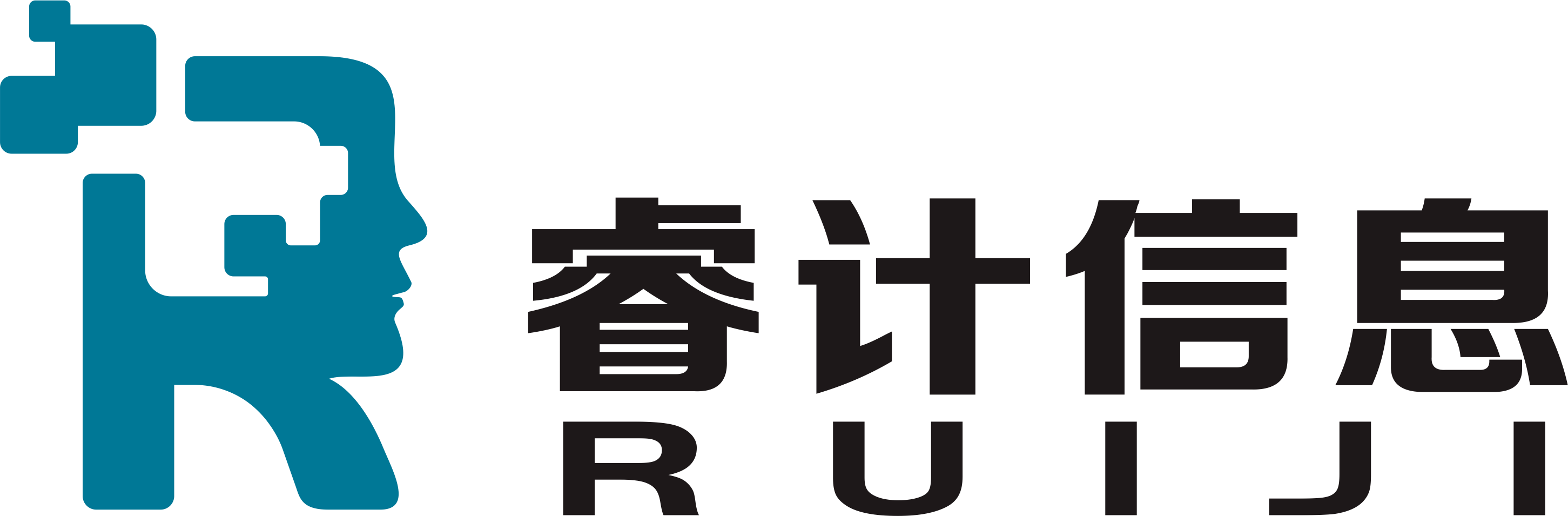 上海睿计信息技术股份有限公司