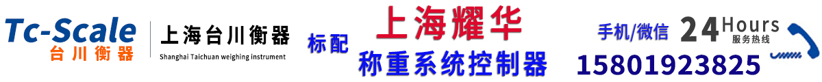 上海耀华地磅-电子秤-耀华电子称-上海耀华称重系统有限公司