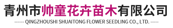 时令草花|宿根花卉|观赏草|绿化苗木-青州市帅童花卉苗木有限公司