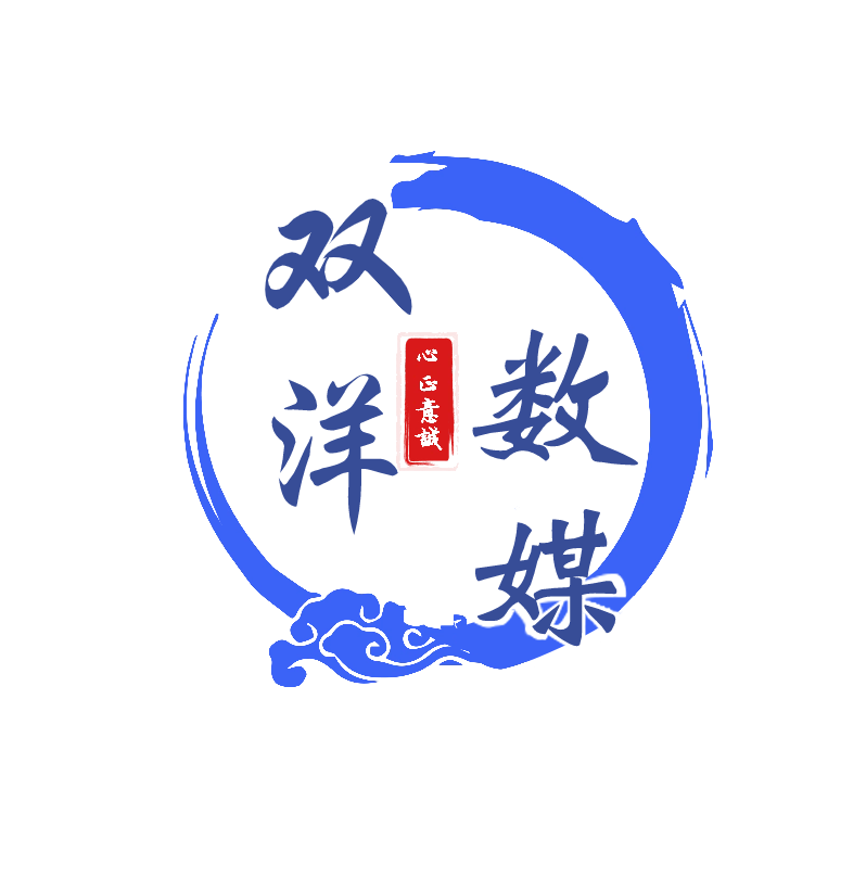 双洋数媒-一站式出海营销推广平台-出海快人一步