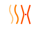 东莞市顺势行电子科技有限公司【官网】