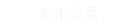 四川宏远发展科技有限公司